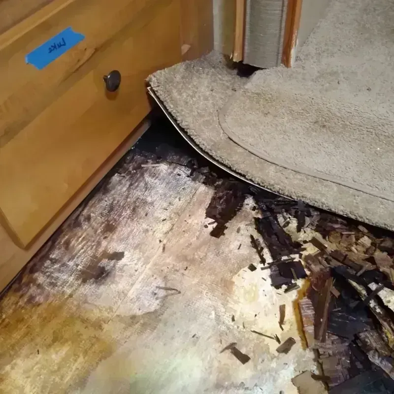 Wood Floor Water Damage in Dooly County, GA